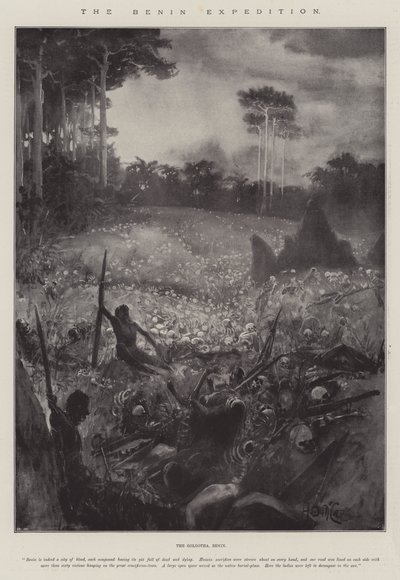The Benin Expedition by Arthur David McCormick